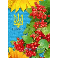 Зошит серія "Мій дім Україна" тверда обкладинка 160 арк.